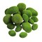 30pcs Artificial Moss Rocks Decorative Faux Green Moss Covered Stones